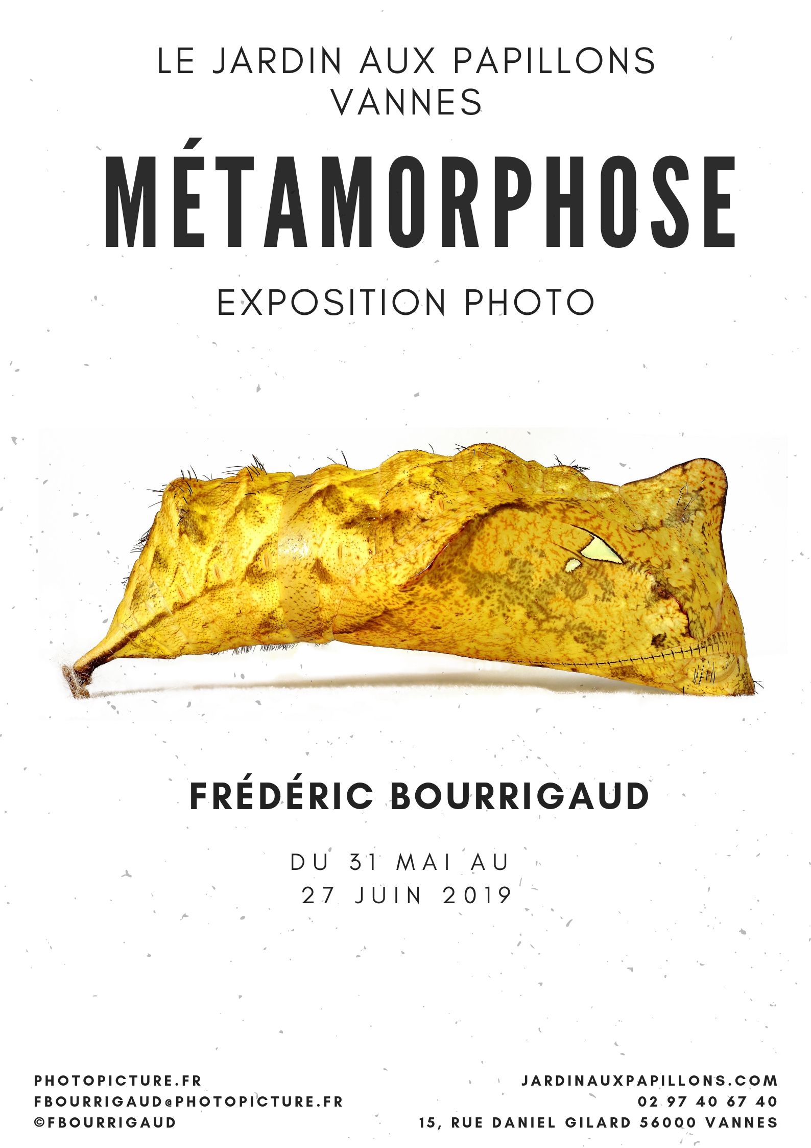 Exposition photo « Métamorphose » de Frédéric Bourrigaud