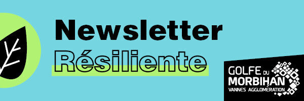newsletter_resiliente_600x200px